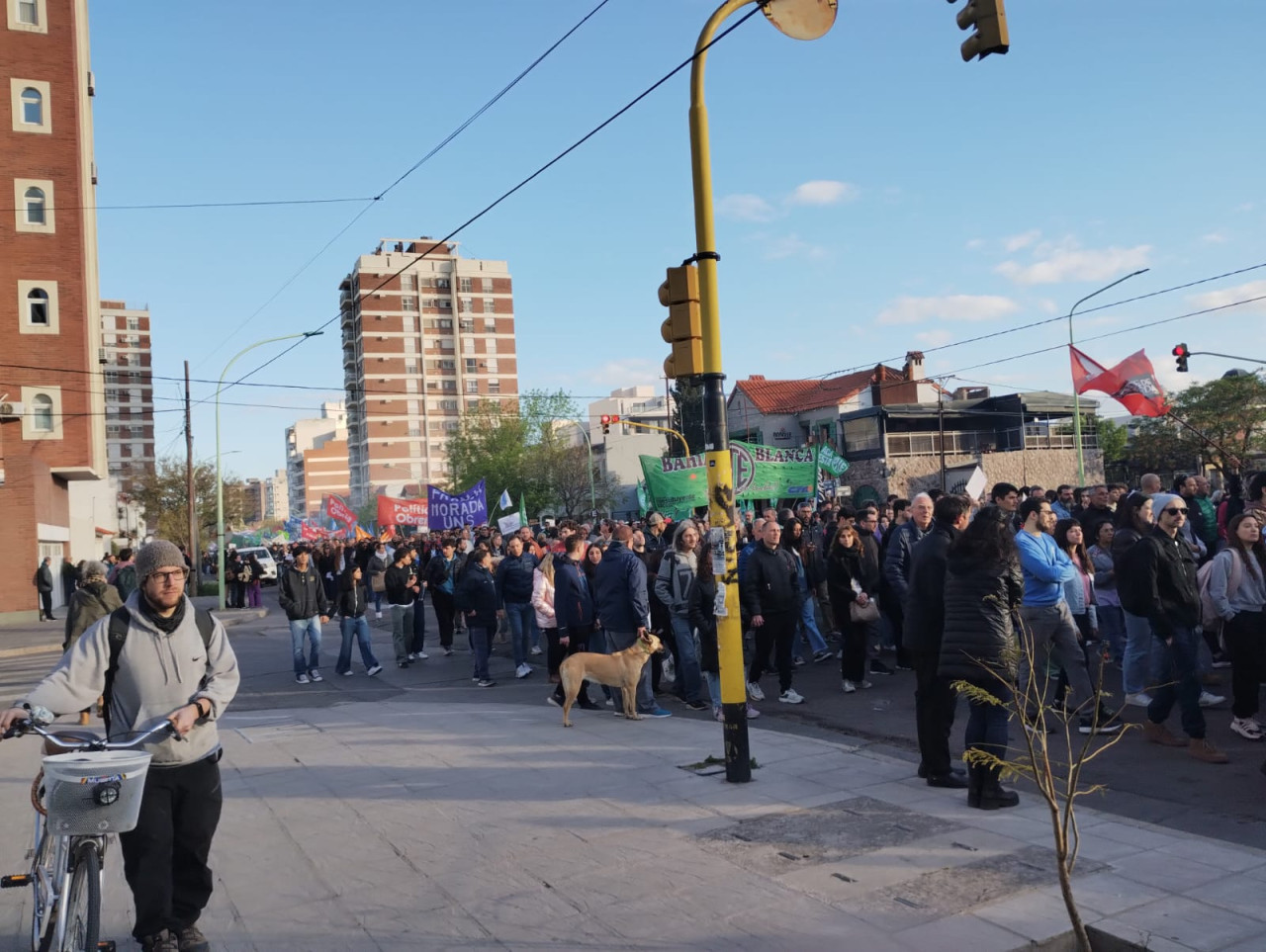 Multitudinaria marcha universitaria en Bahía Blanca. Foto: prensa.