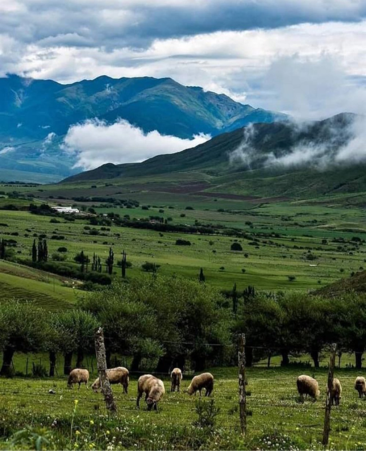 Tafí del Valle. Foto X @pilusaltor