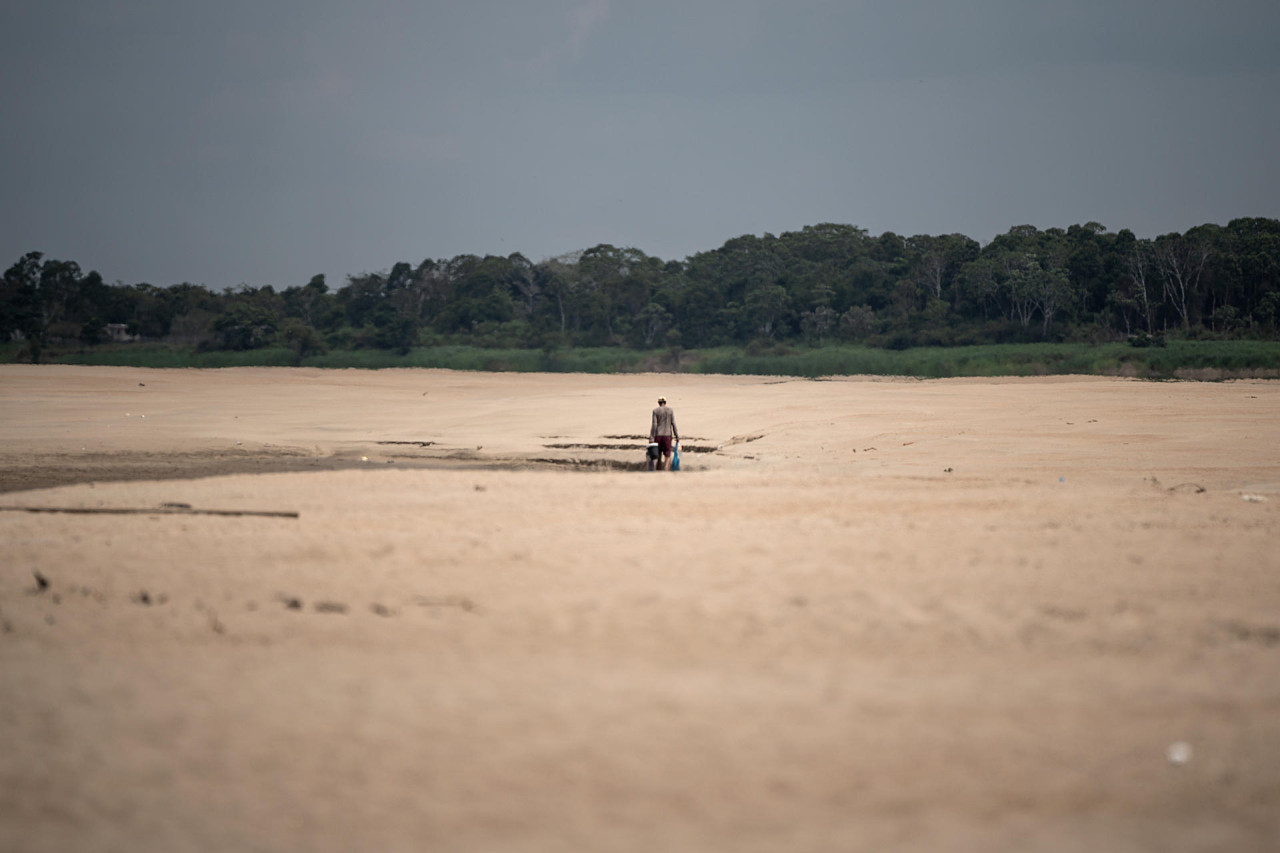 Sequía en Amazonas. Foto: EFE.