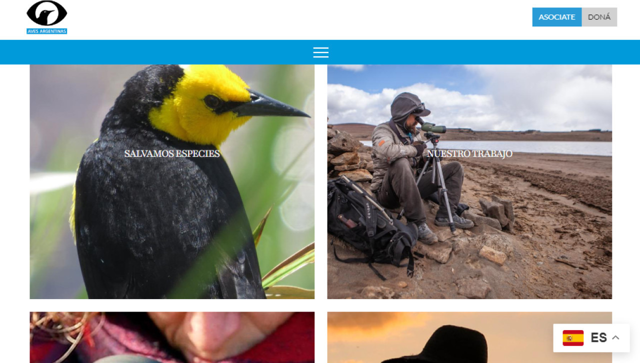 La nueva web de Aves Argentinas. Fuente: Aves Argentinas