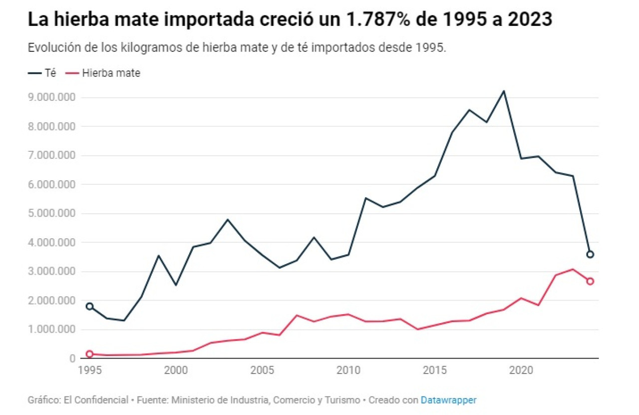 El crecimiento de la hierba mate. Foto: Gentileza El Confidencial.