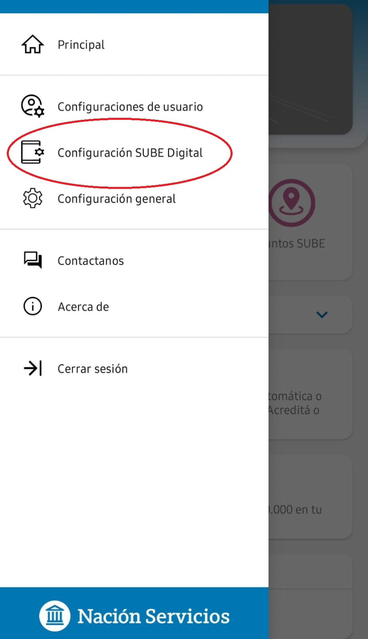 Configuración en la aplicación de la SUBE. Foto: captura Canal 26.