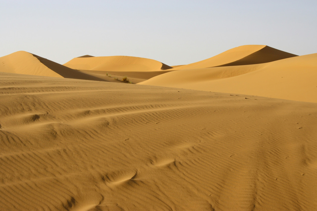 El desierto del Sahara sufrió inundaciones. Foto: Unsplash.