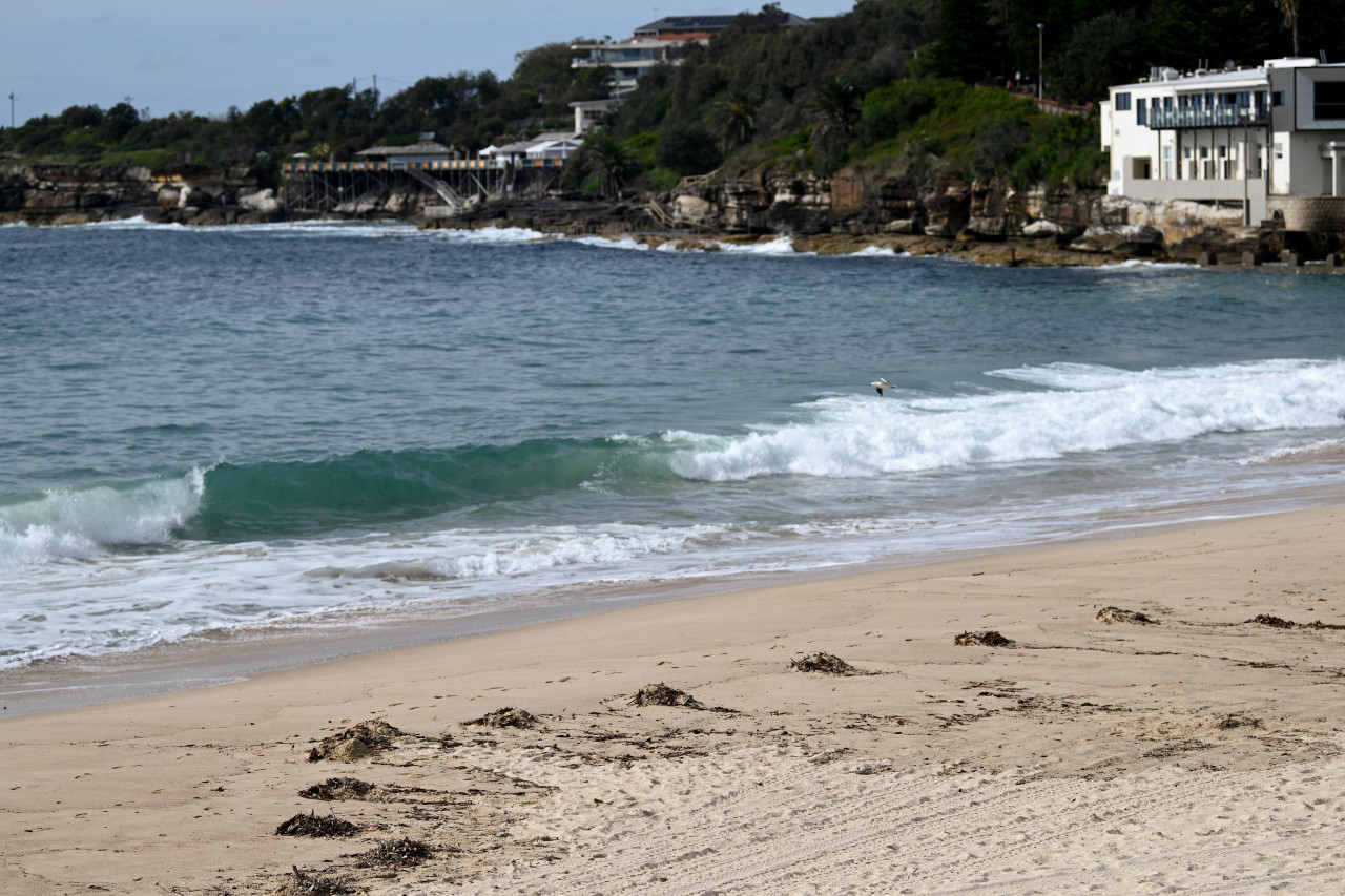 Playas cerradas en Sidney. Fuente: EFE