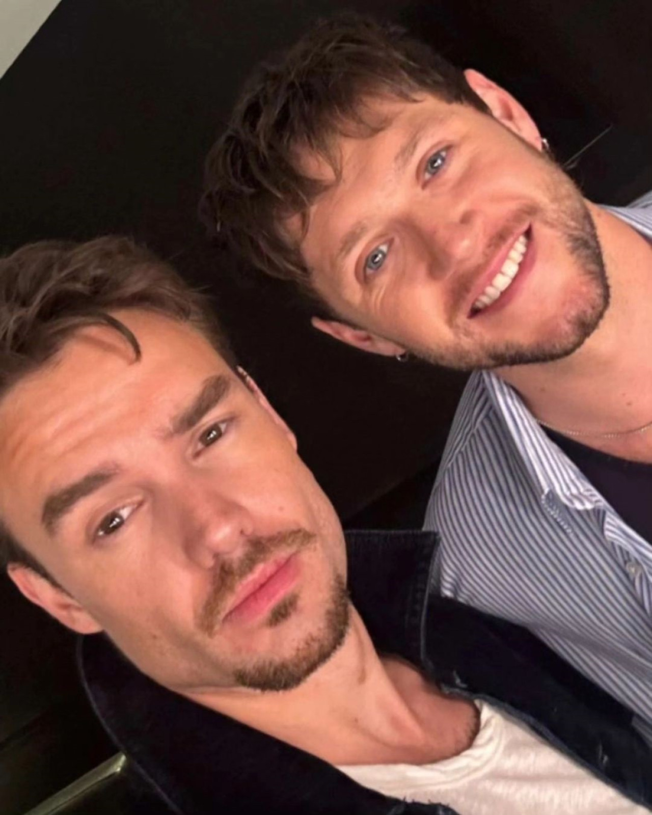 Liam Payne y Niall Horan