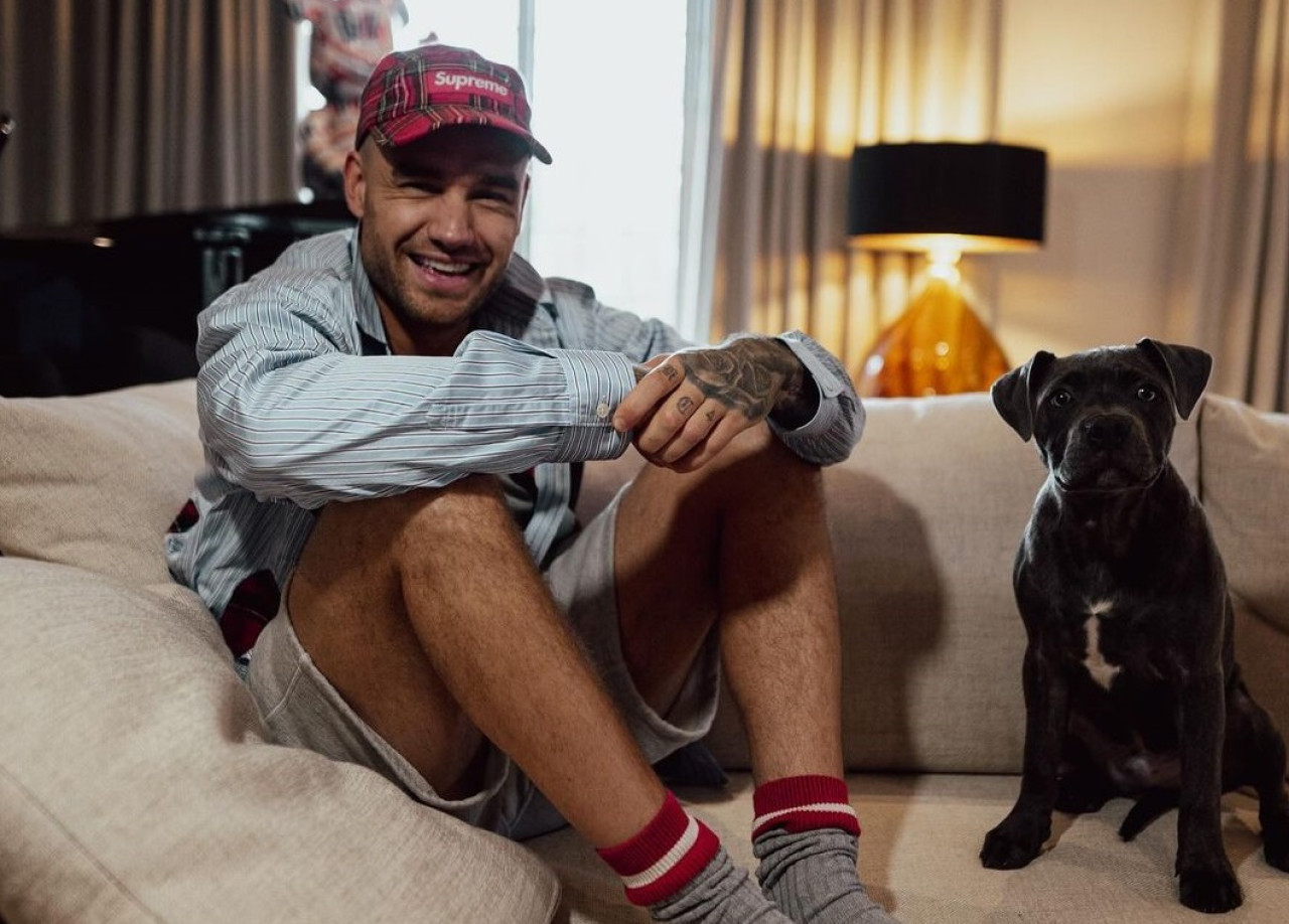 Liam Payne junto a su perro Stanley. Foto: Instagram @liampayne.