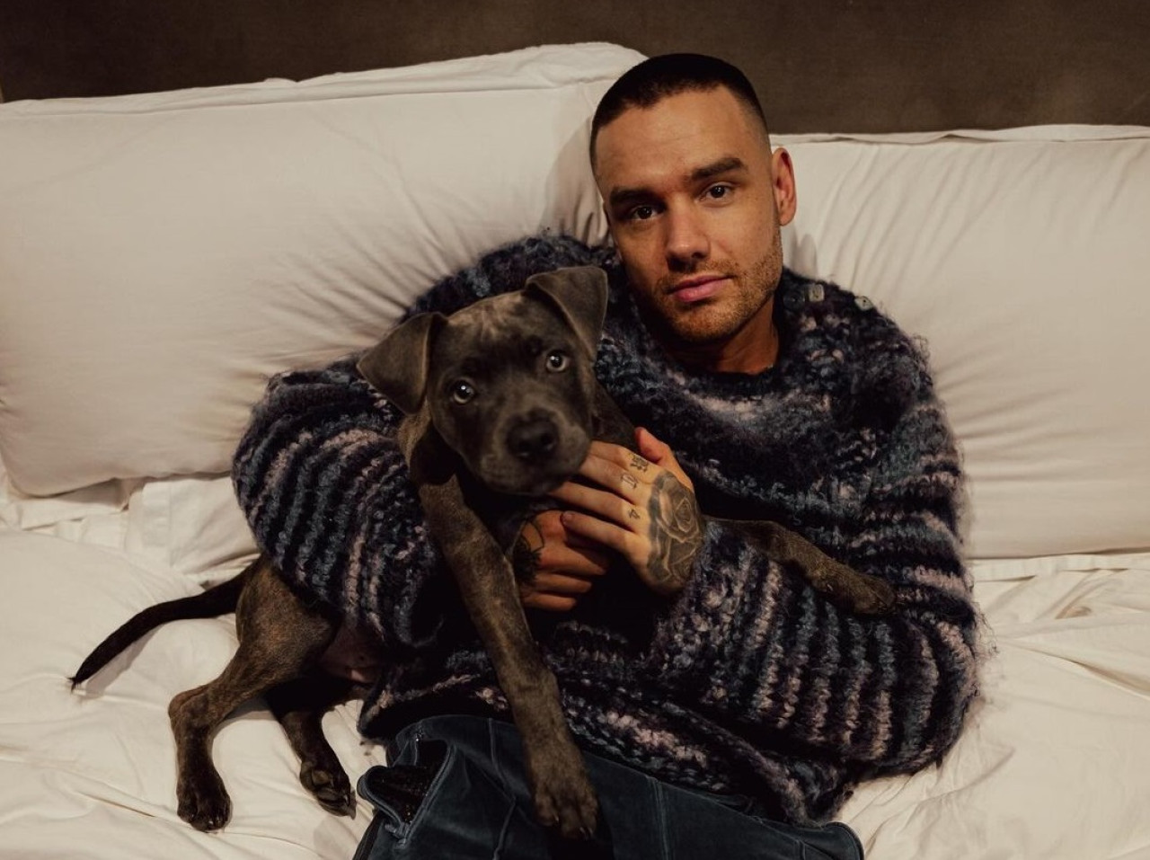 Liam Payne junto a su perro Stanley. Foto: Instagram @liampayne.