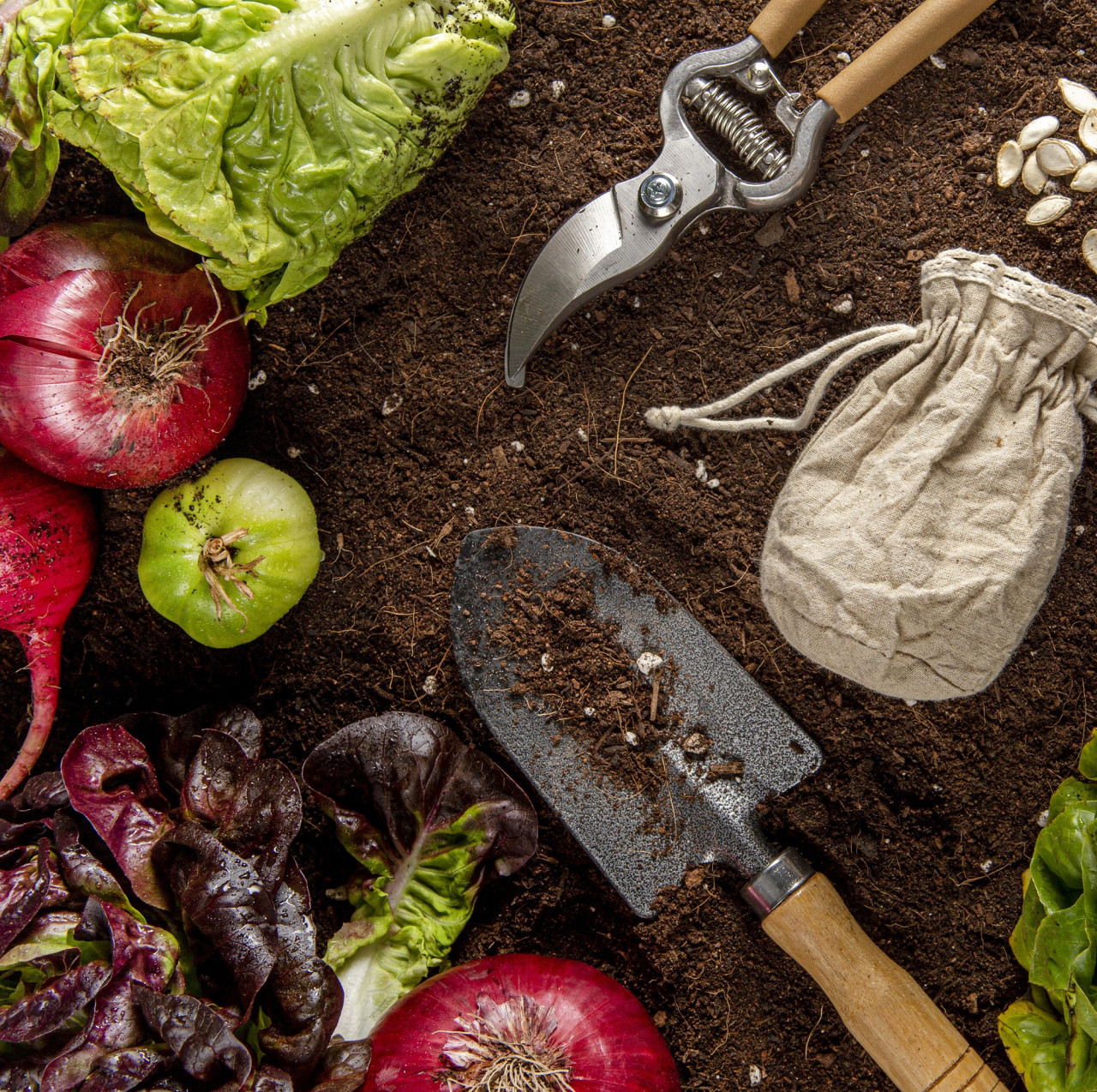 Huerta orgánica, frutas, verduras, Foto Freepik