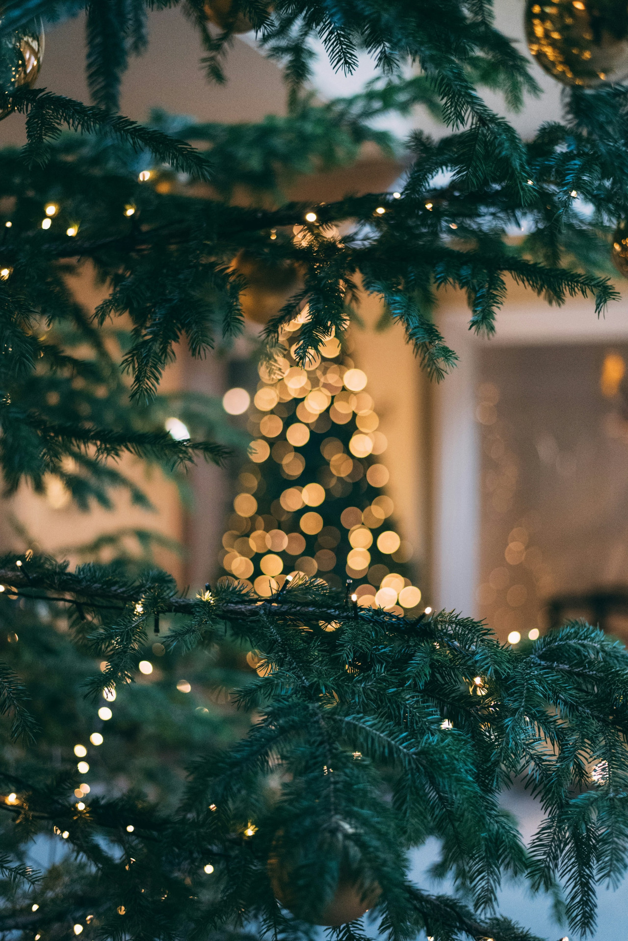 Árbol de navidad. Foto Unsplash