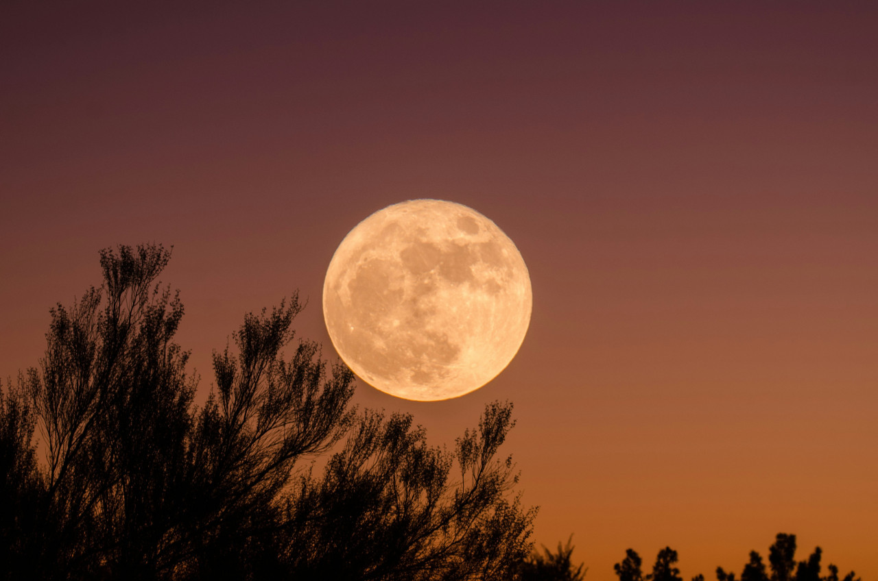 Superluna en Argentina. Foto: Unsplash.