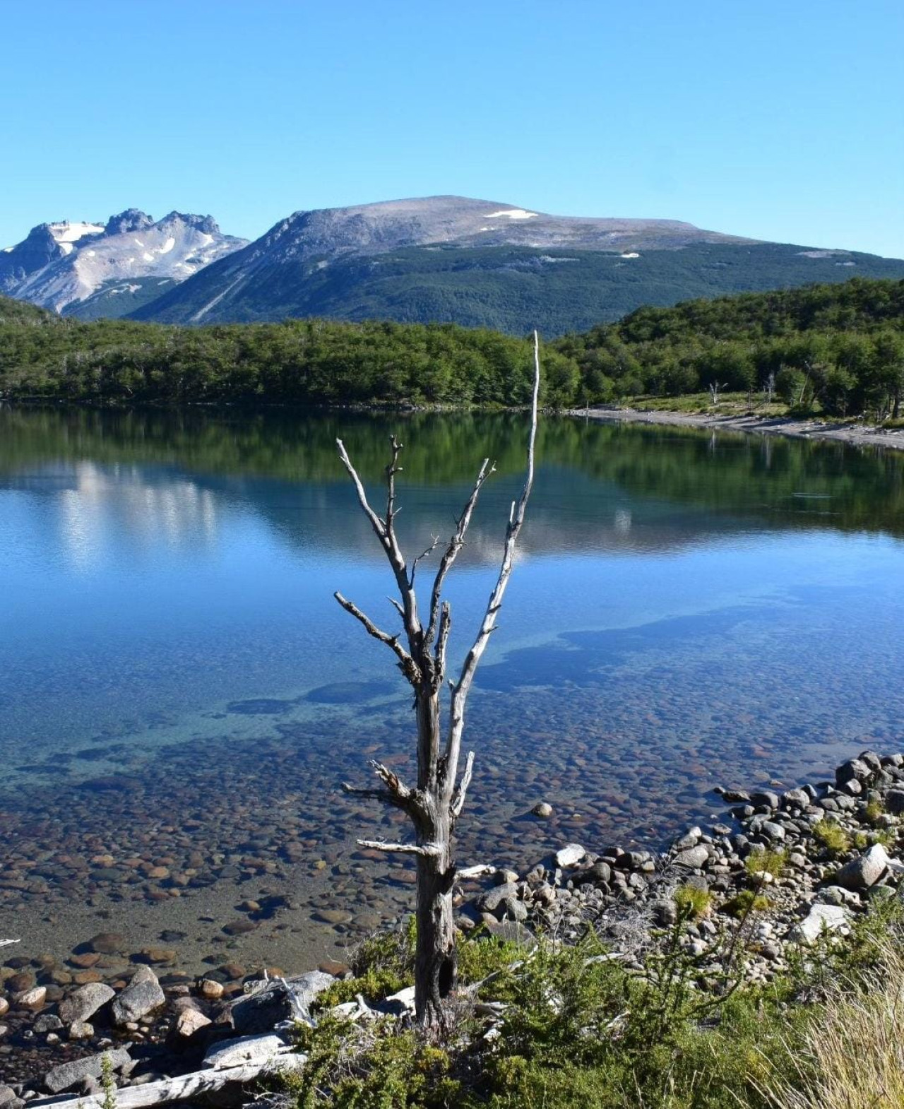 Cajón Grande del río Pico, Chubut. Foto: Instagram / turismopico.