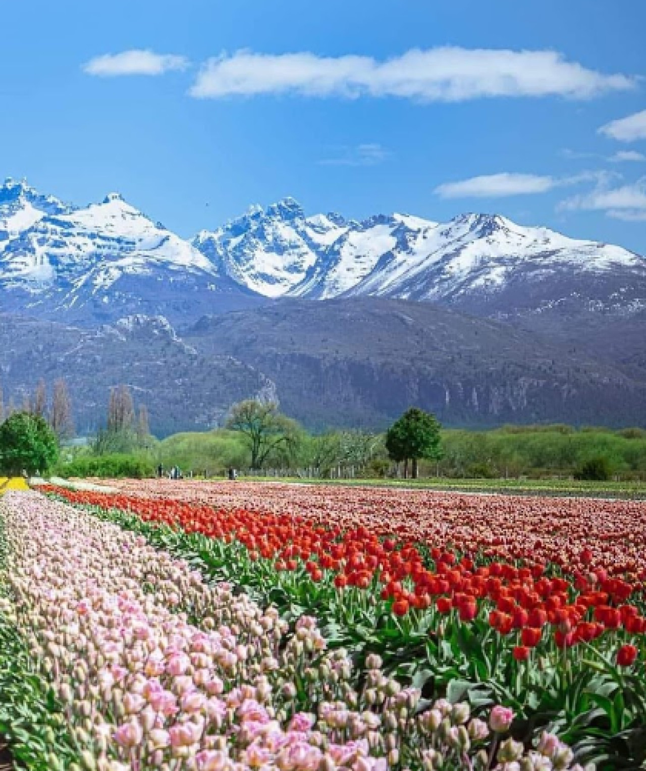 Trevelin, Chubut. Foto: Google maps.