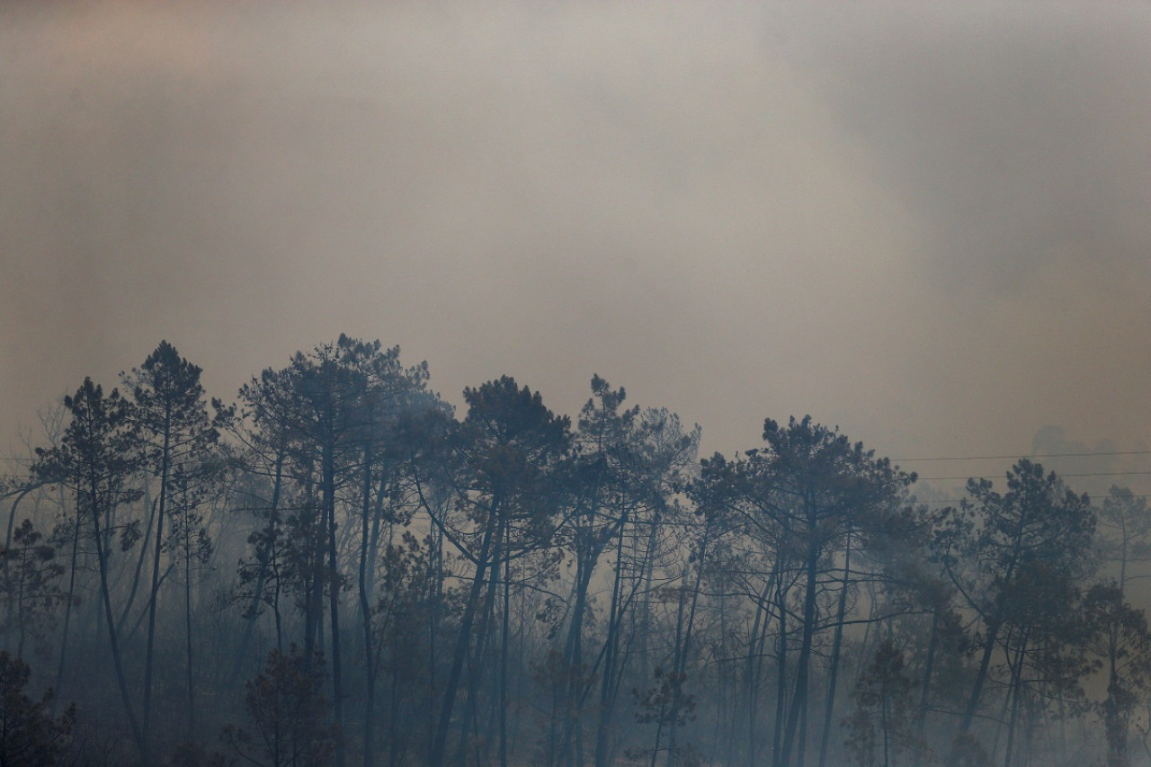 Cambio climático. Foto: Reuters.