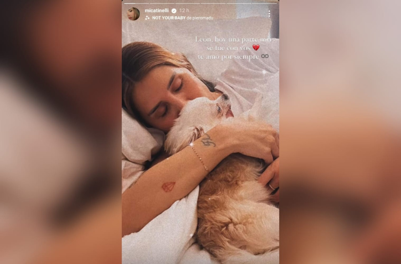 Micaela Tinelli compartió una foto de su perro León. Foto: Instagram.