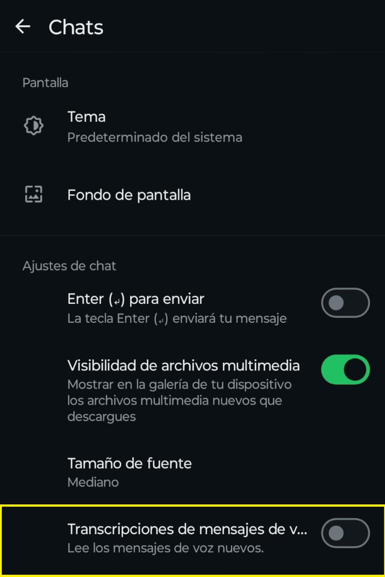 La configuración de la transcripción de audio a texto en WhatsApp. Foto: Captura.