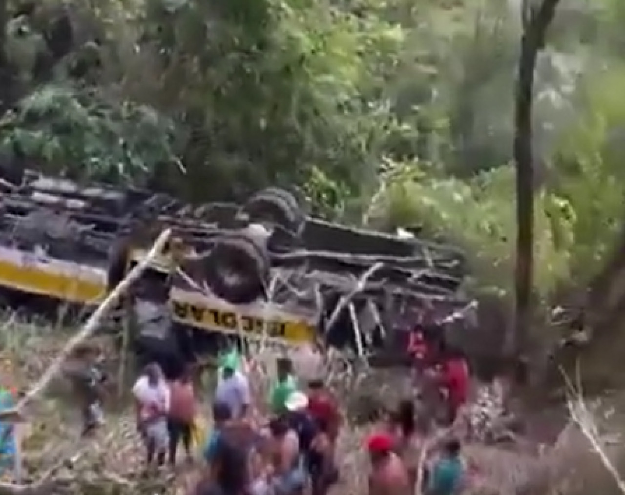 Accidente fatal de un micro en Brasil. Foto: Captura de video.