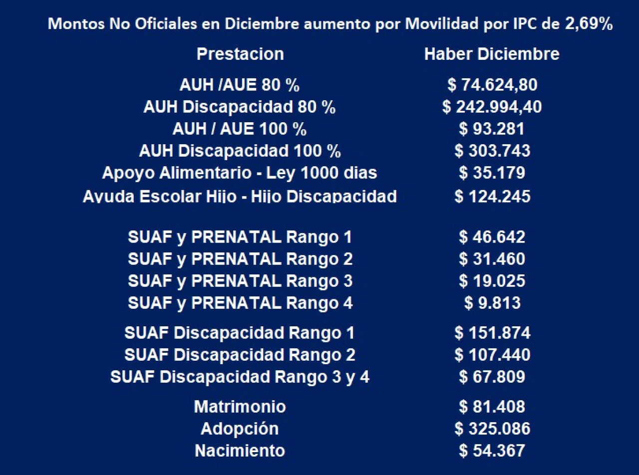 Montos de asignaciones de Anses para diciembre 2024.