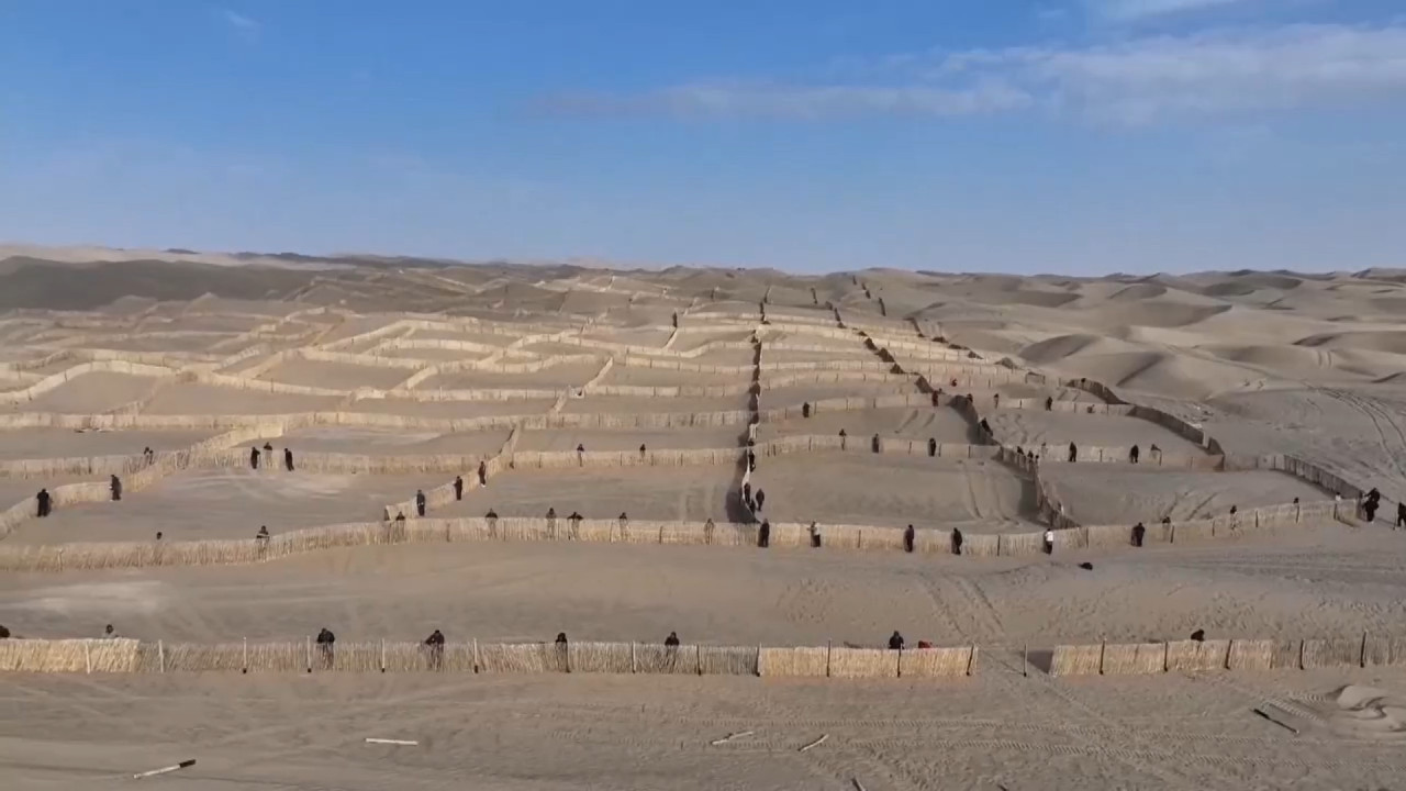 China anunció la finalización de un ‘cinturón verde’ de 3.046 kilómetros que rodea completamente el desierto de Taklamakán. Video: EFE.