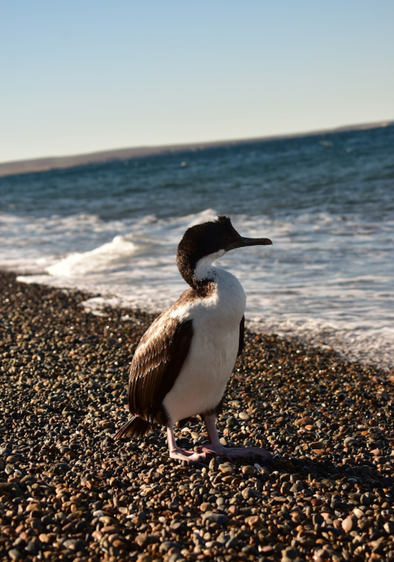 Playa Las Canteras, Chubut. Foto: Google Maps.