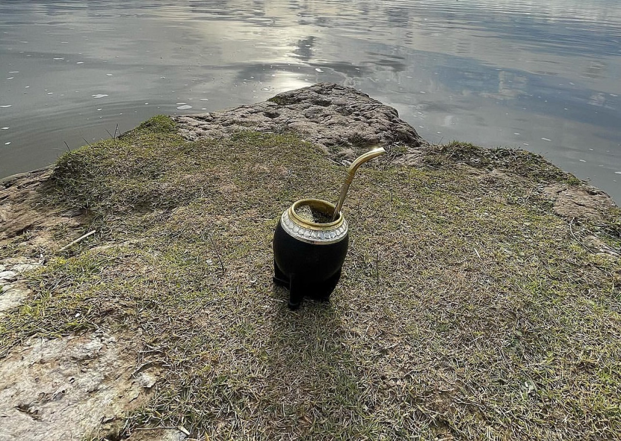 Los futbolistas eligen Canarias y Baldo como yerbas favoritas para el mate. Foto: Instagram @locosxlayerba.