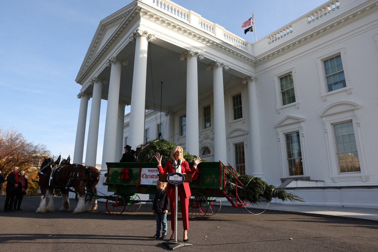 Un abeto que resistió al huracán Helene será el árbol de Navidad de la Casa Blanca. Foto: Reuters.