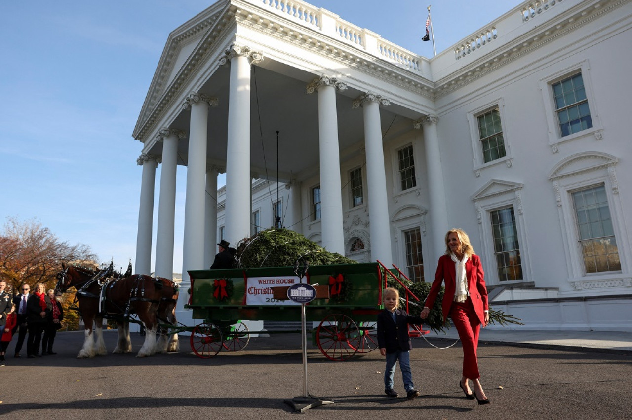 Un abeto que resistió al huracán Helene será el árbol de Navidad de la Casa Blanca. Foto: Reuters.