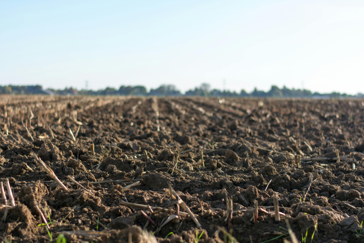 Suelo, tierra, agro. Foto: Pexels.