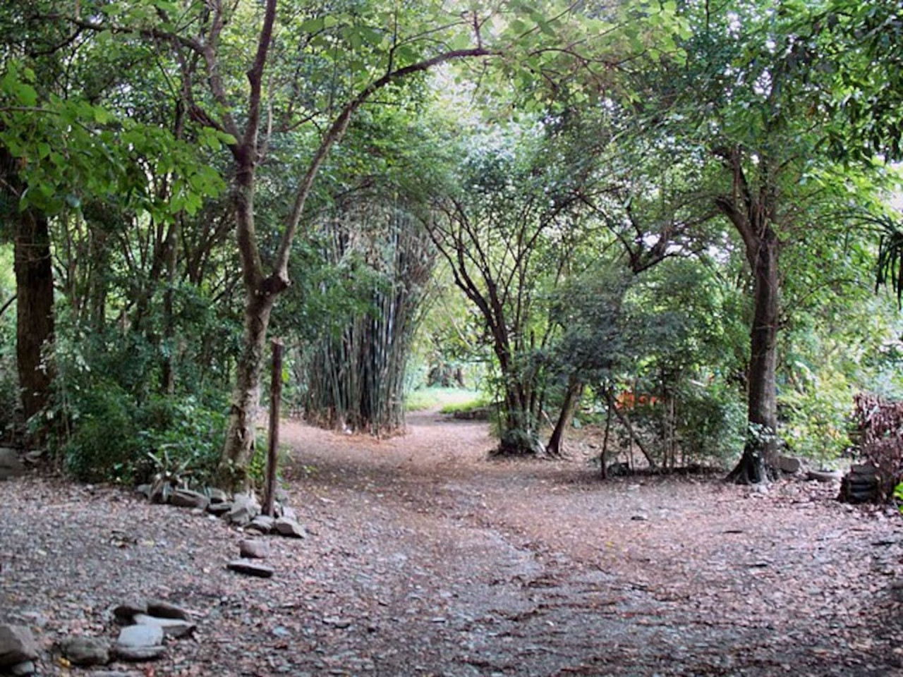 Parque Sierra San Javier. Fuente: Turismo Tucumán