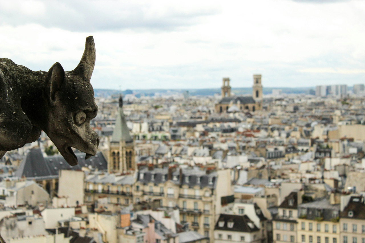 Gárgolas de Notre Dame. Foto: Unsplash.