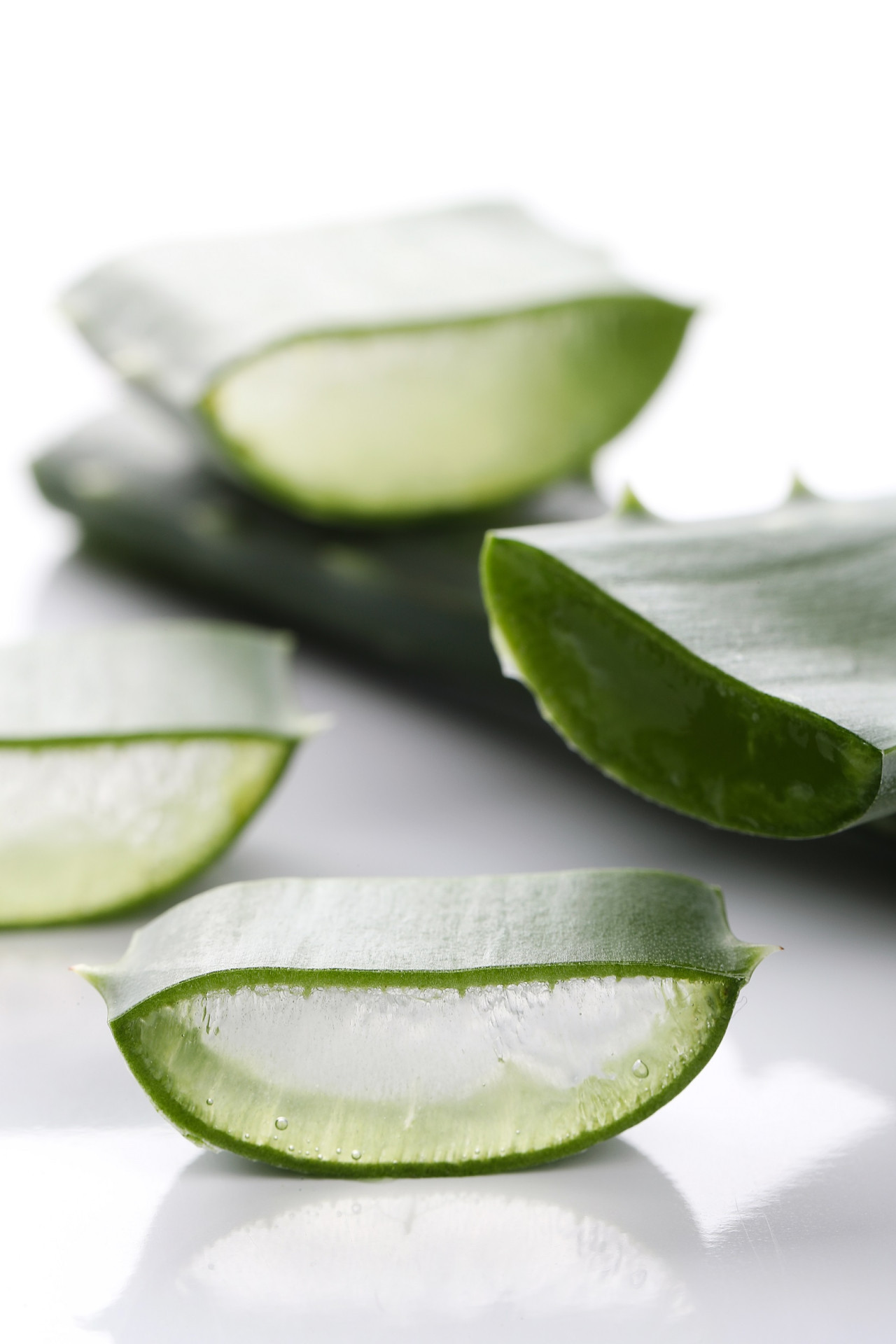 Aloe vera. Foto: Unsplash