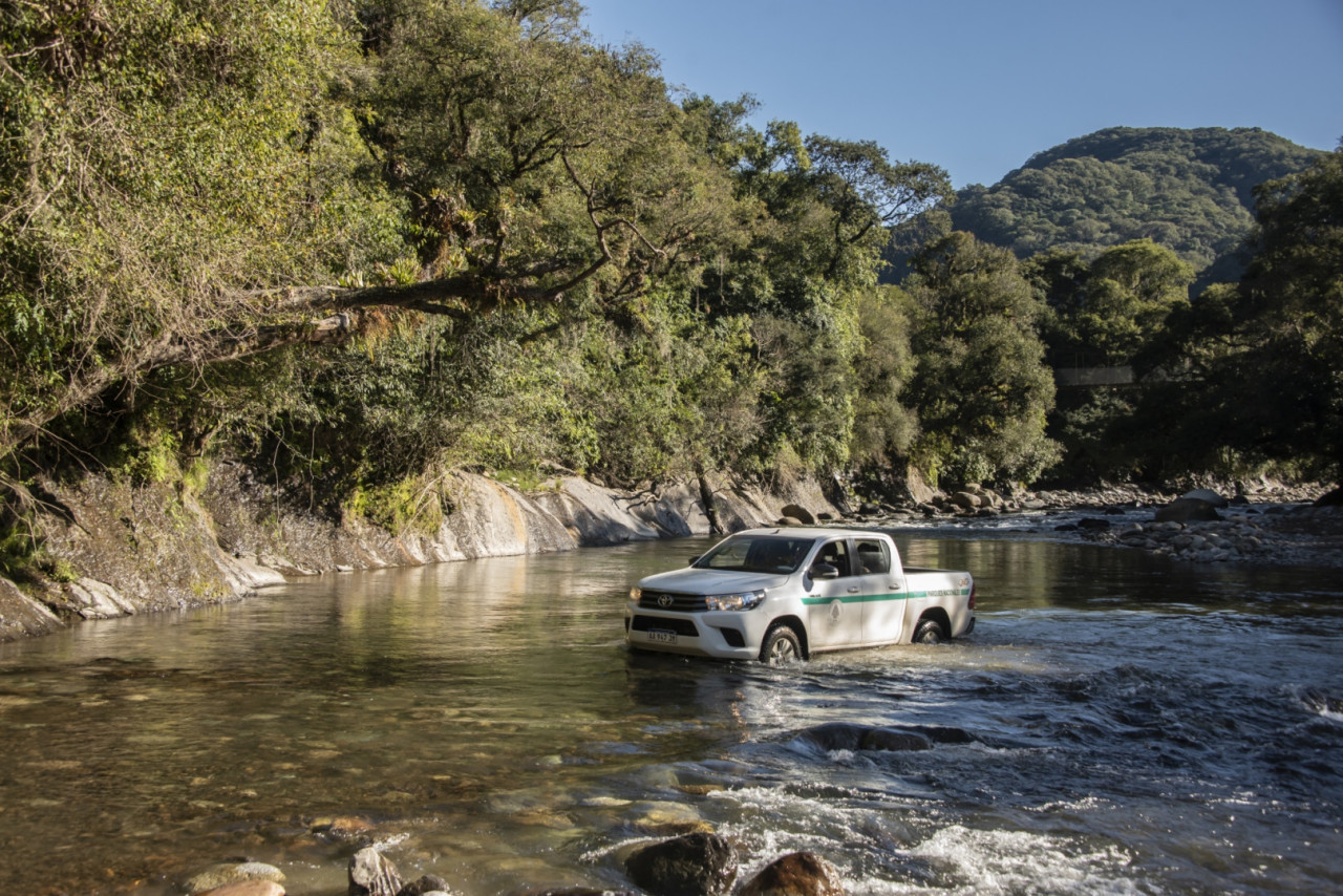 Parque Nacional Baritú. Foto: argentina.gob.ar