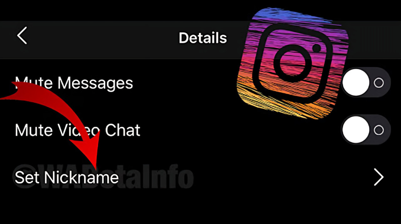 Función de agregar apodos en Instagram. Foto: WABetaInfo.
