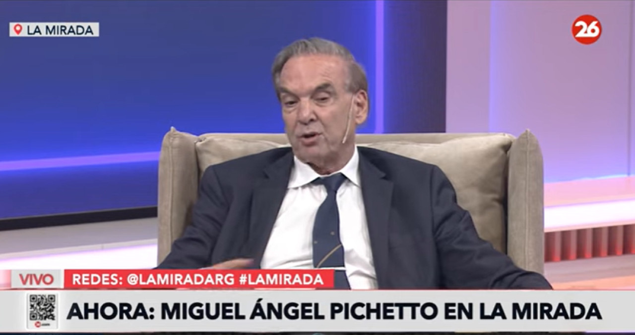 Miguel Ángel Pichetto en La Mirada. Foto: captura de video.