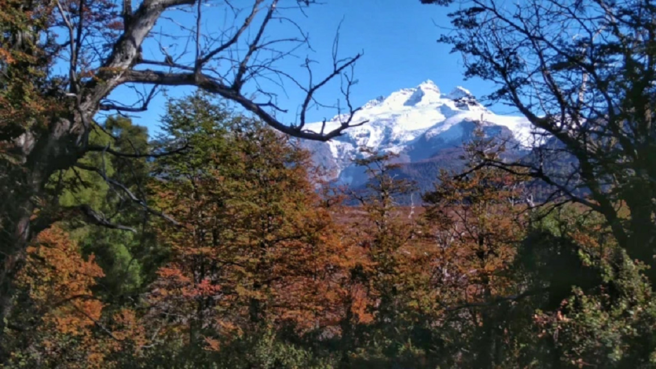 Una de las excursiones más lindas para hacer en el sur. Foto: patagoniatrekking