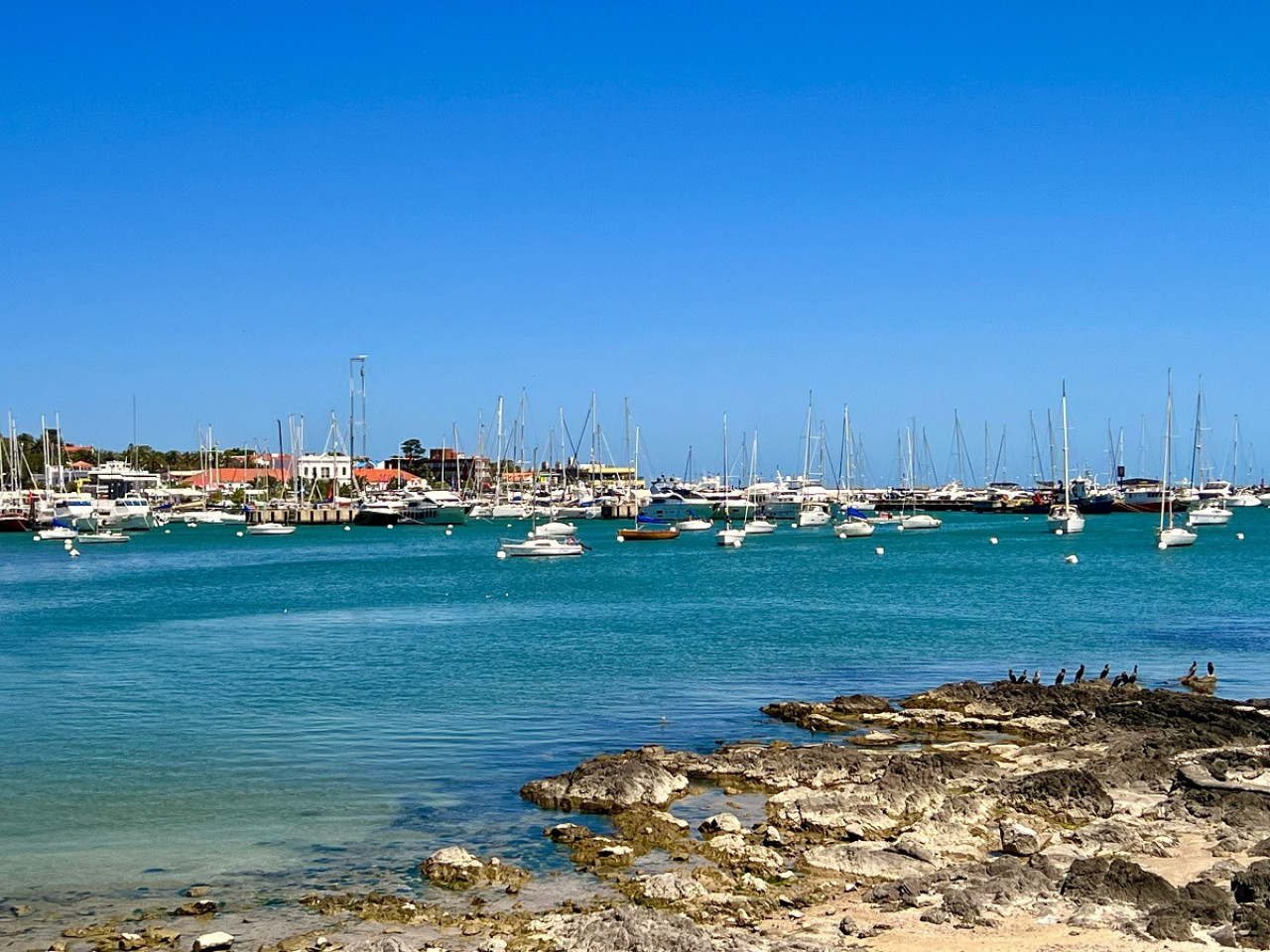 Punta del Este, Uruguay. Foto: Unsplash.