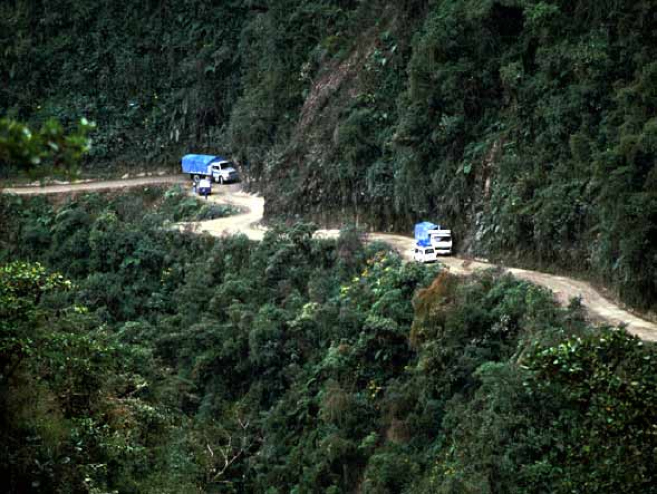 El Camino de los Yungas, más conocido como la ruta de la muerte. Foto: Wikipedia.