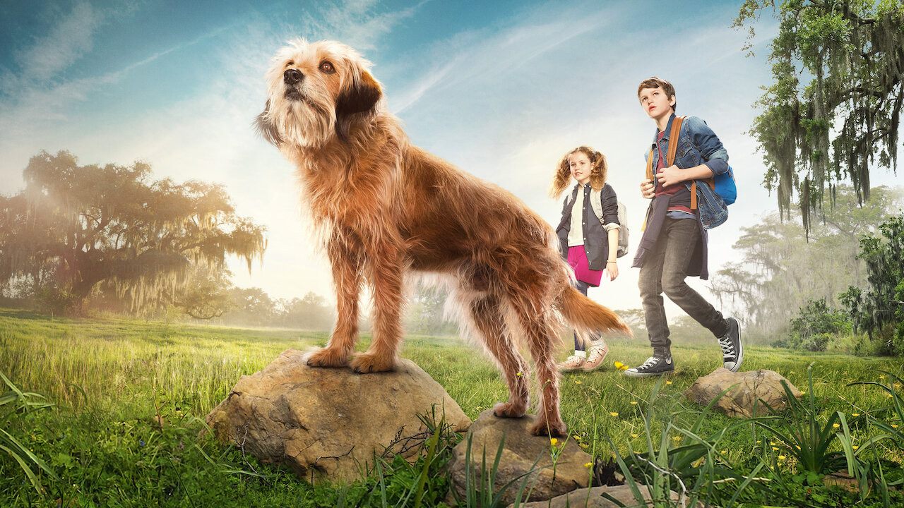 Películas protagonizadas por mascotas: Benji. Foto: Netflix