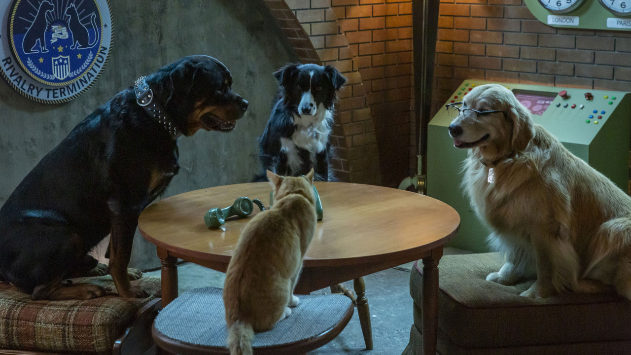 Películas protagonizadas por mascotas: Como perros y gatos. Foto: Max