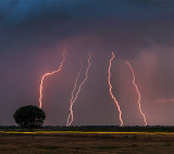 Rayos en Campo