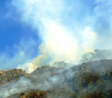 Incendio en Lago Puelo (DyN)
