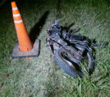  Rayo mató a un joven que iba en moto (Diario Castellanos)