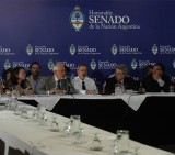 Debate en el Senado (DyN)
