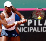 Venus Wlliams (Reuters)