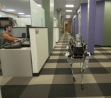 Perro robot de Google