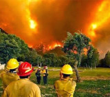 Incendio en Cholila (cholilaonline.com)
