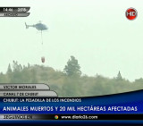 Incendios en Chubut - Canal26