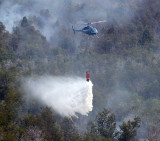 Incendio en Chubut (NA)