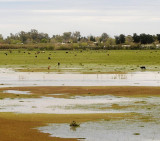 Inundaciones en Provincia de Buenos Aires (DyN)