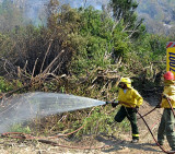 Incendio en Cholila (Ushuaia24)