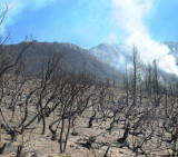 Incendios en Chubut